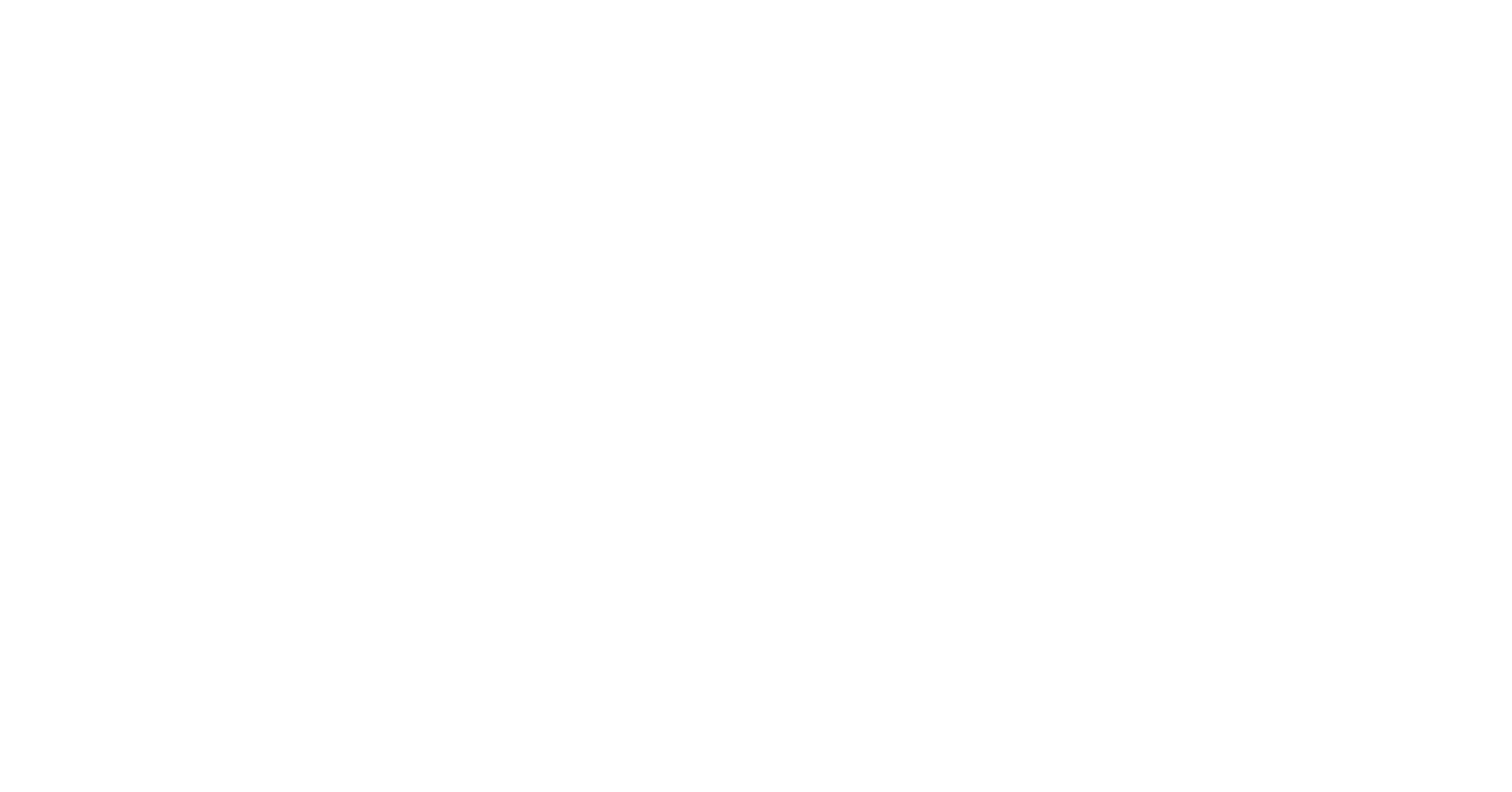 BridgeCare Vertical Logo in White